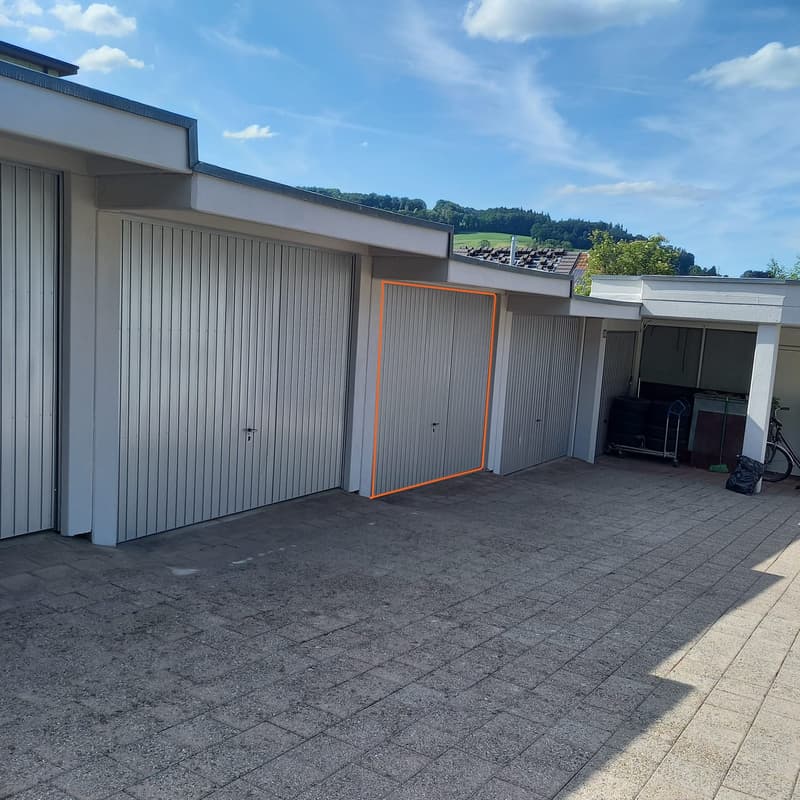 Freshly renovated single garage box in Beinwil am See (3)