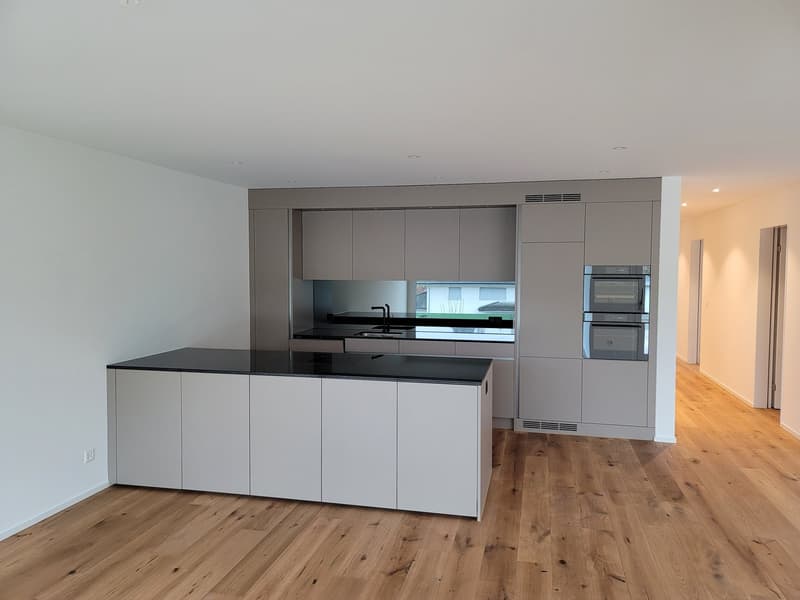 Attractive 4.5-room upper floor apartment with high-quality construction and breathtaking views (5)