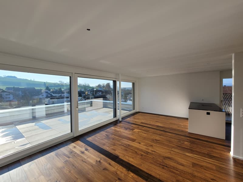 Attraktive 3.5-Zimmer-Attikawohnung mit hochwertigem Ausbau und traumhaftem Süd-West Ausblick (4)