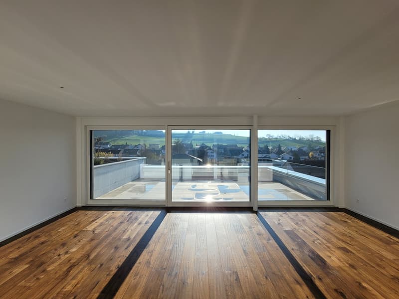 Attraktive 3.5-Zimmer-Attikawohnung mit hochwertigem Ausbau und traumhaftem Süd-West Ausblick (3)