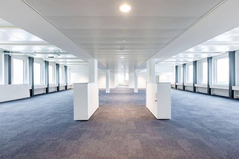 Top-Büroimmobilie: 950 m2 repräsentative Fläche zu vermieten (1)
