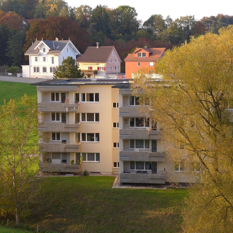 6.5 Zimmerwohnung in Walzenhausen (1)
