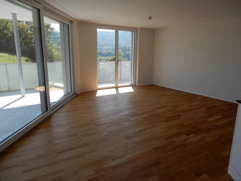 1.5-Zimmer-Wohnung in Schaffhausen (2)