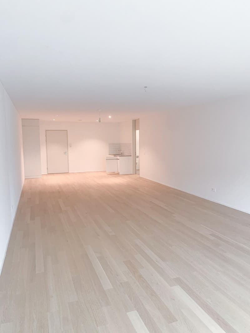 Studio d'artista o spazio commerciale nel bellissimo Romanshorn (2)
