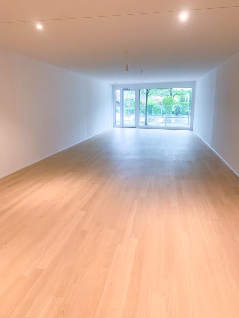 Studio d'artista o spazio commerciale nel bellissimo Romanshorn (5)