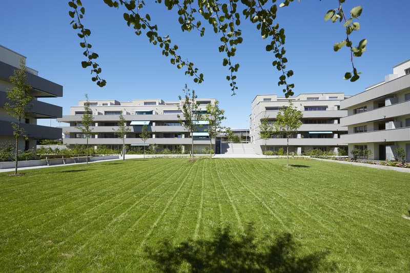 modernes Loft in Romanshorn (1)