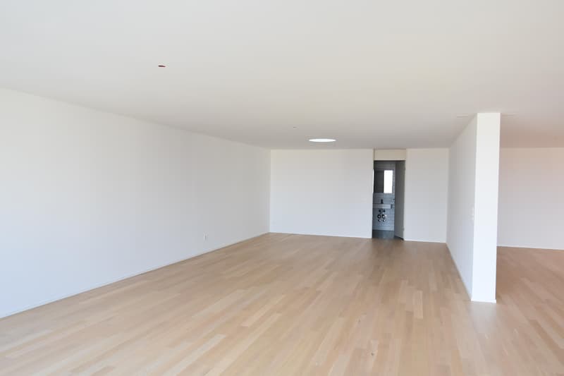 modernes Loft in Romanshorn (4)