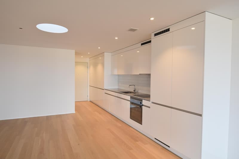 modernes Loft in Romanshorn (2)