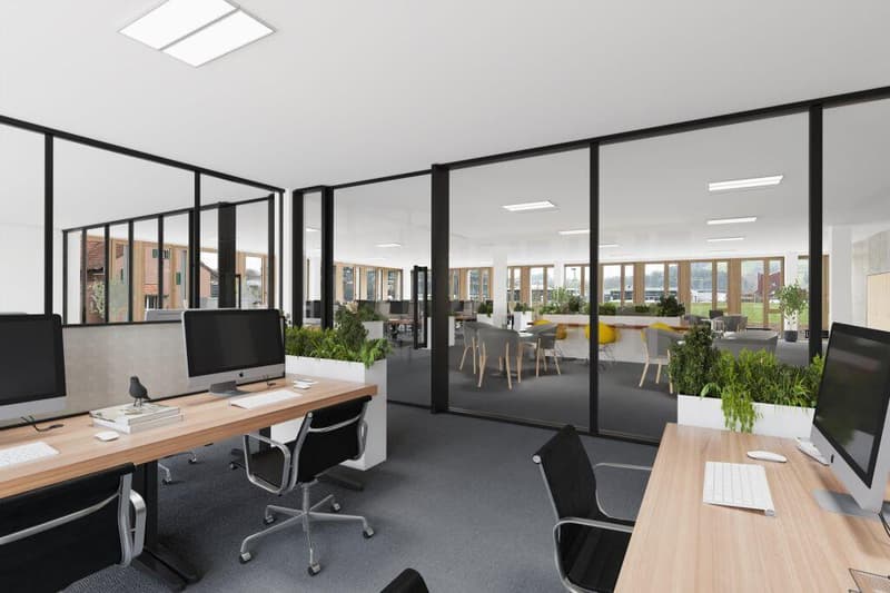 Immeuble d'affaires moderne avec caractère - espaces de différentes tailles (7)