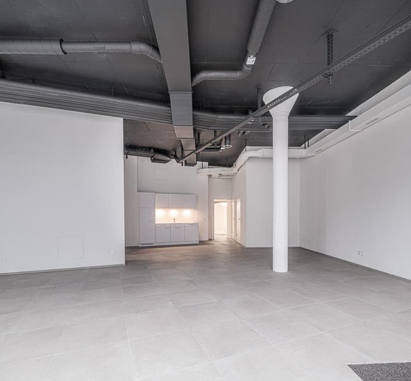 Attractive commercial space in the center of Neuhausen! (5)
