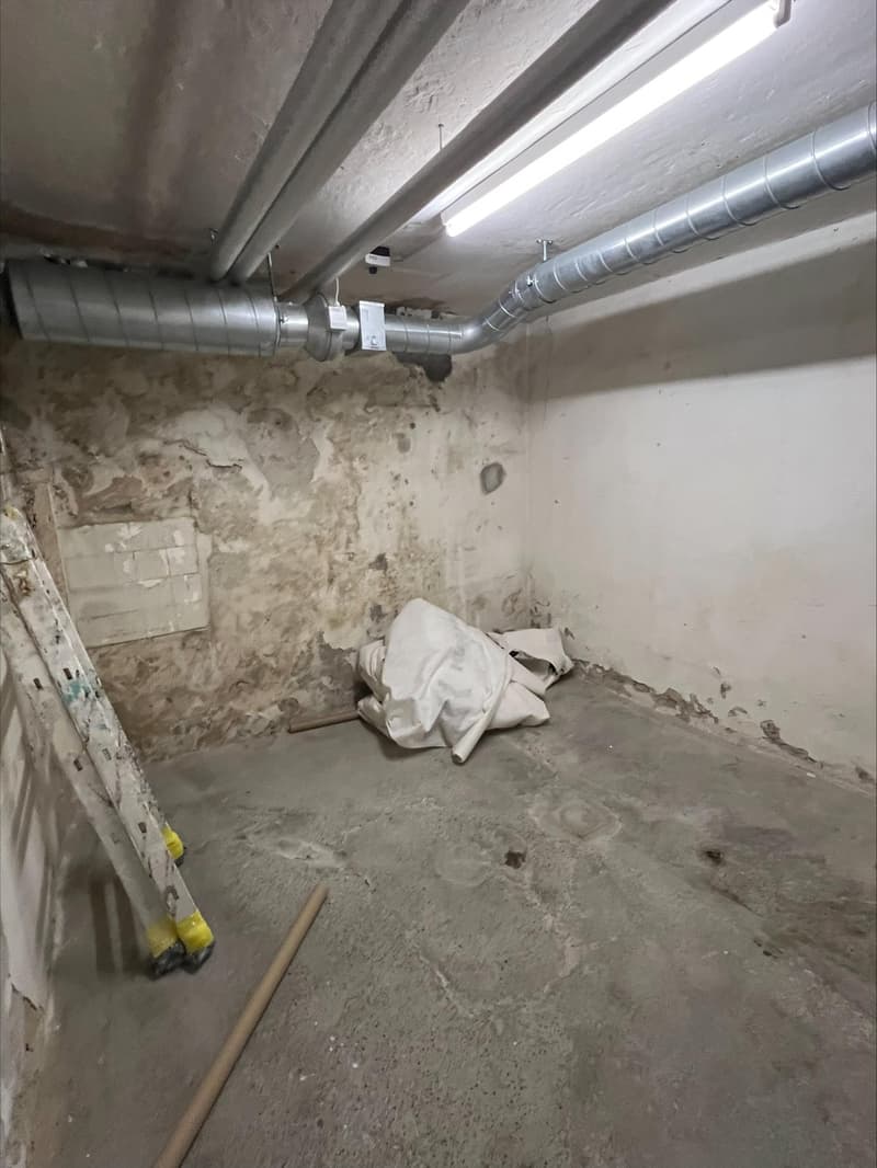 Studio / Hobby Room / Workshop at Schaffhausen Main Station (4)