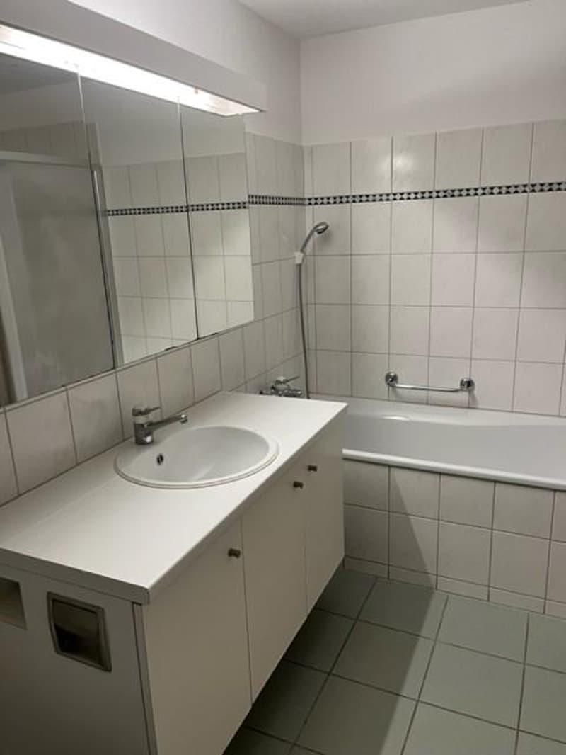 Appartamento di 4 camere nel pittoresco Eschikofen (2)