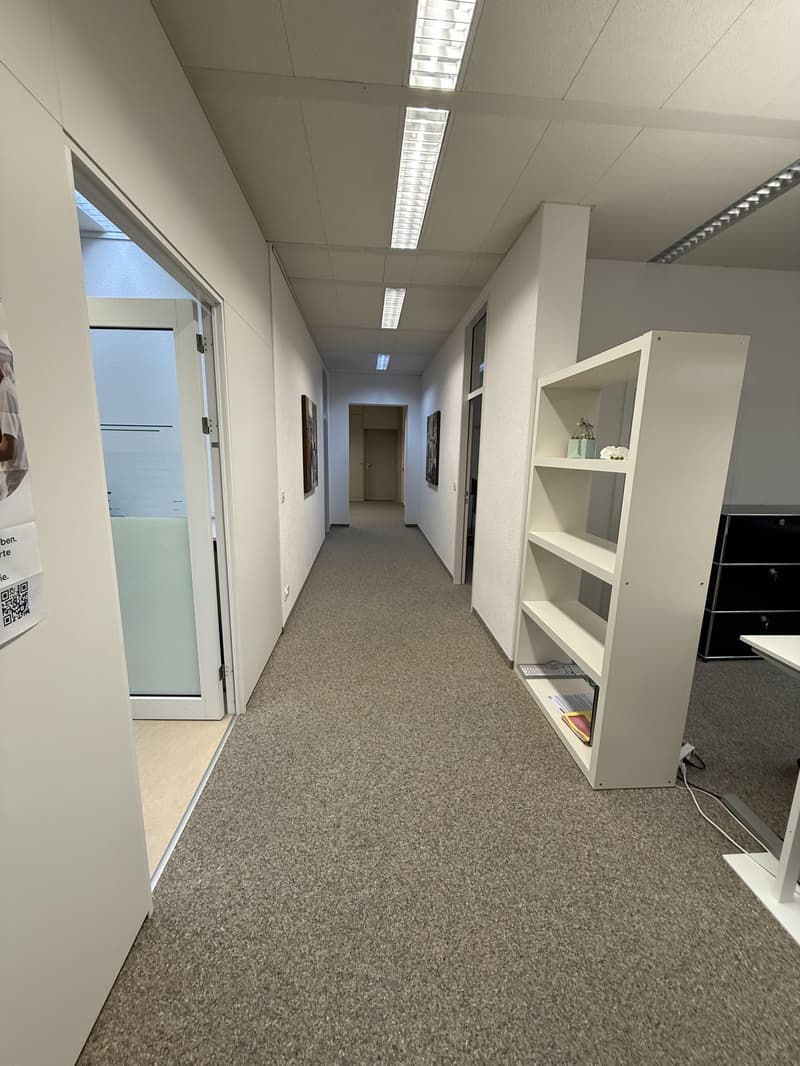 Bright commercial spaces for rent in a central location (4)