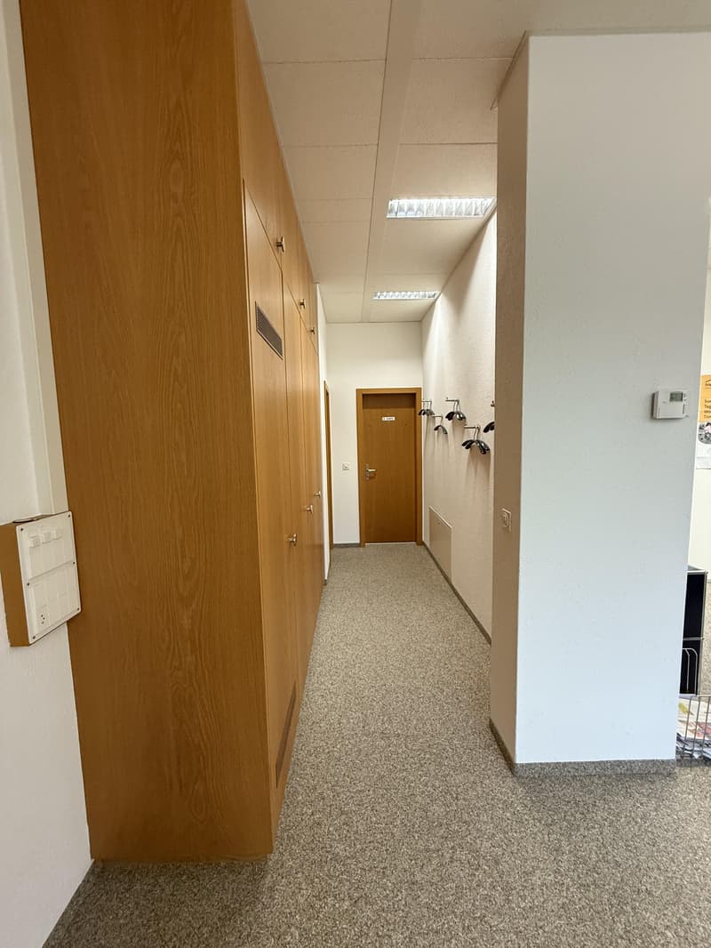 Bright commercial spaces for rent in a central location (9)