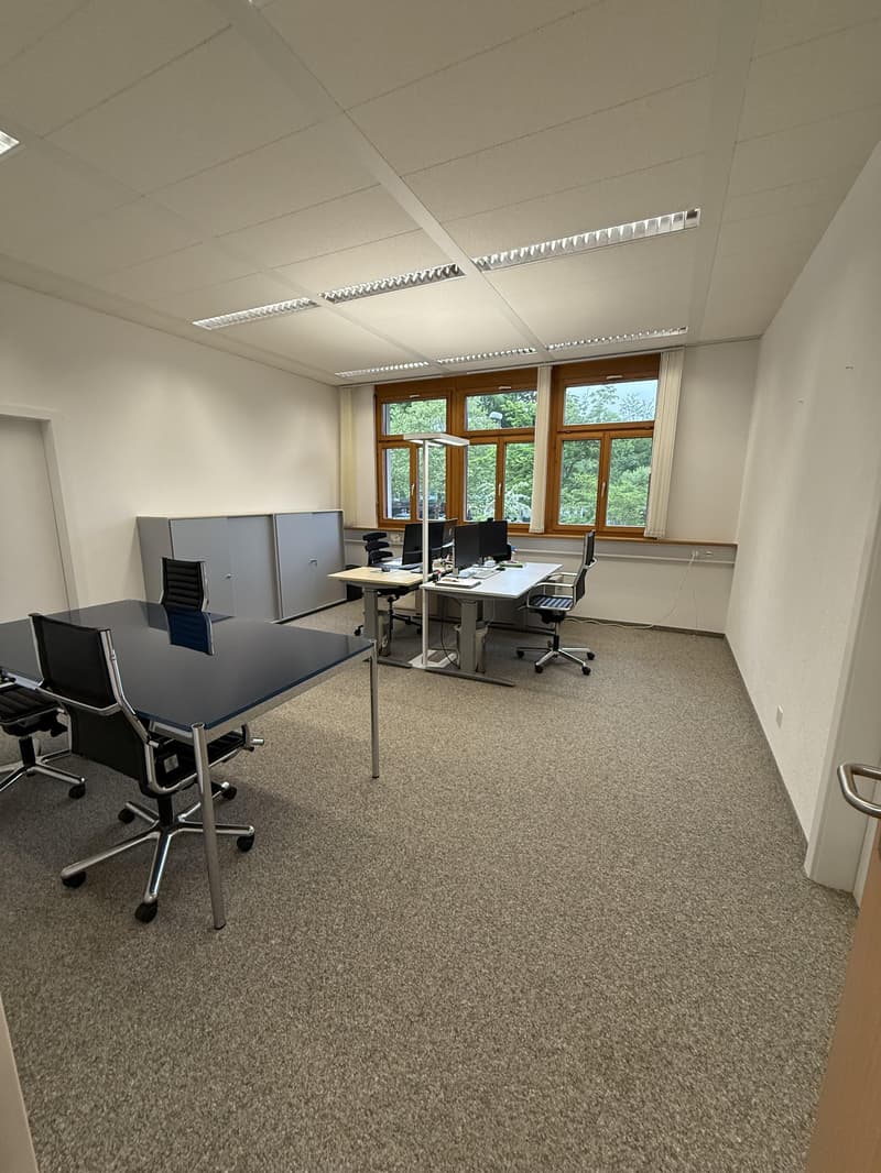 Bright commercial spaces for rent in a central location (5)