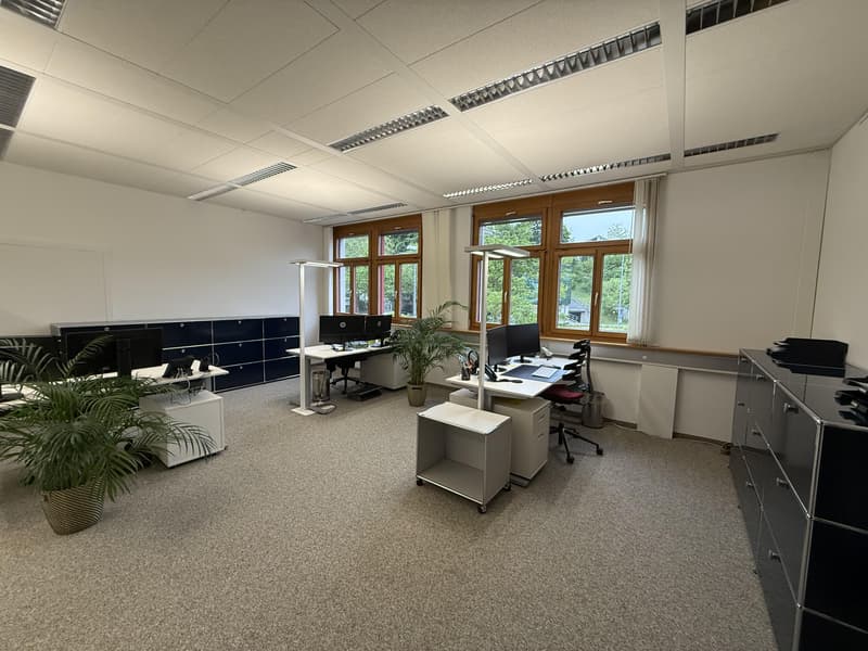 Bright commercial spaces for rent in a central location (2)