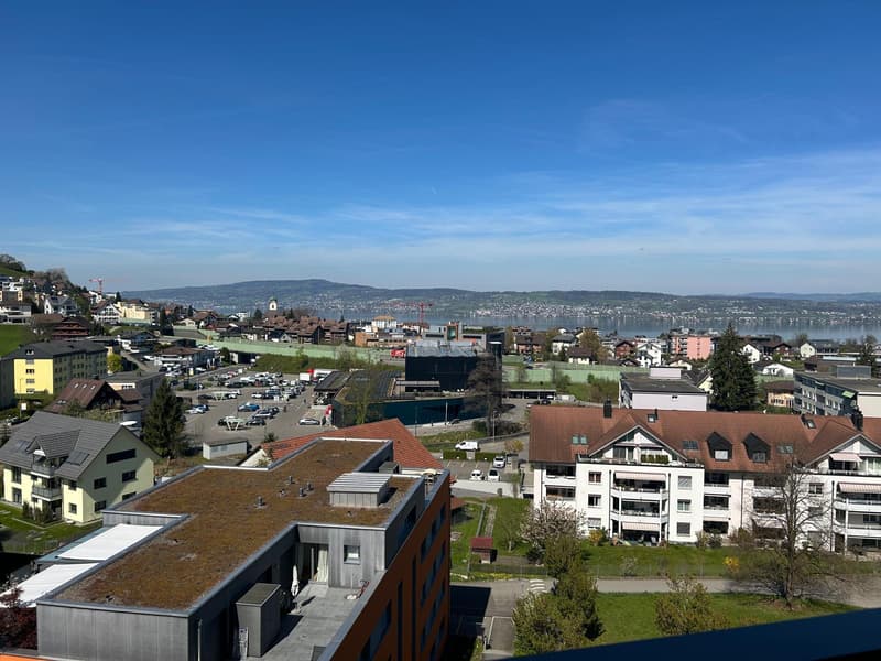 Wohngemeinschaft in 4.5-Zimmerwohnung im 8.OG mit Weitsicht in Wollerau (1)