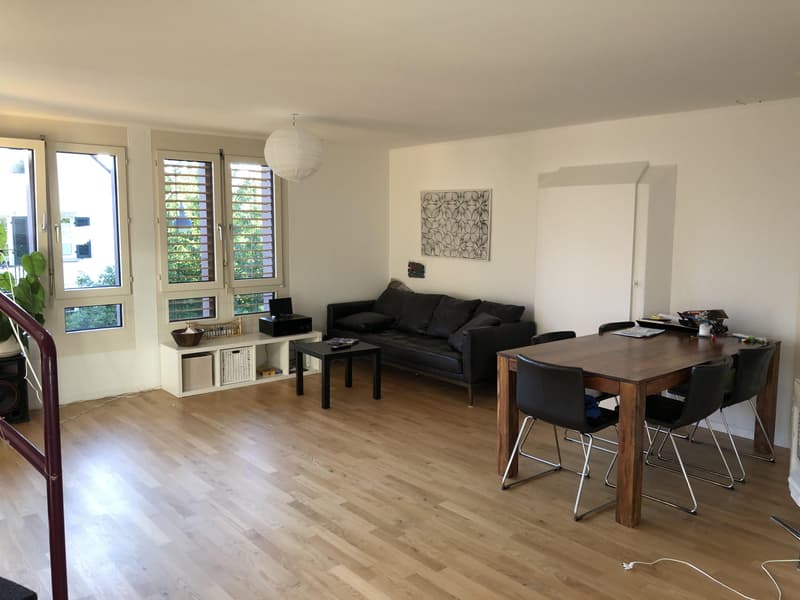 4.5 room apartment in Aarau (2)