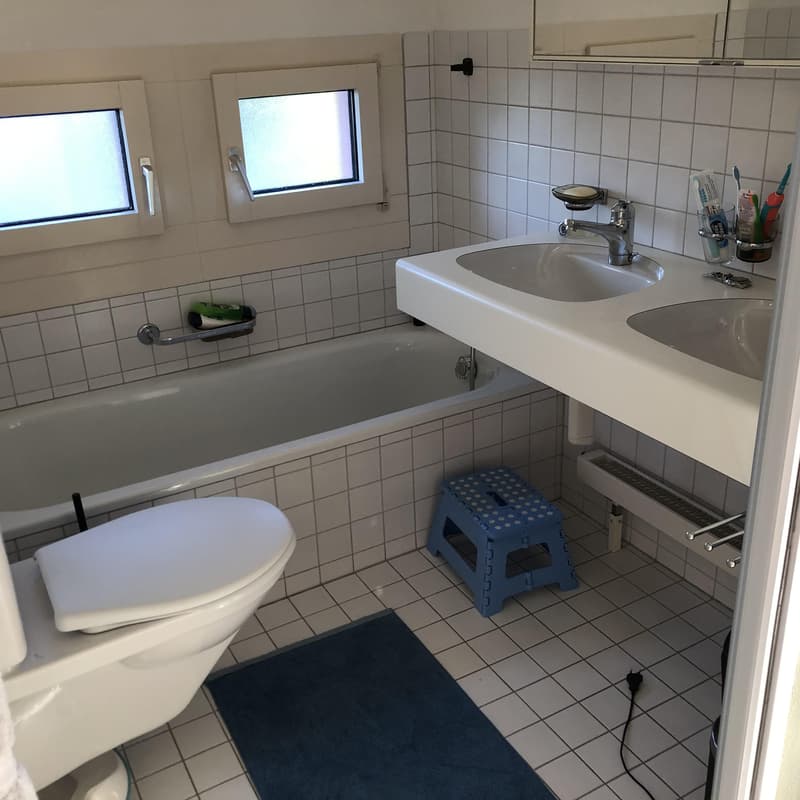 4.5 room apartment in Aarau (6)