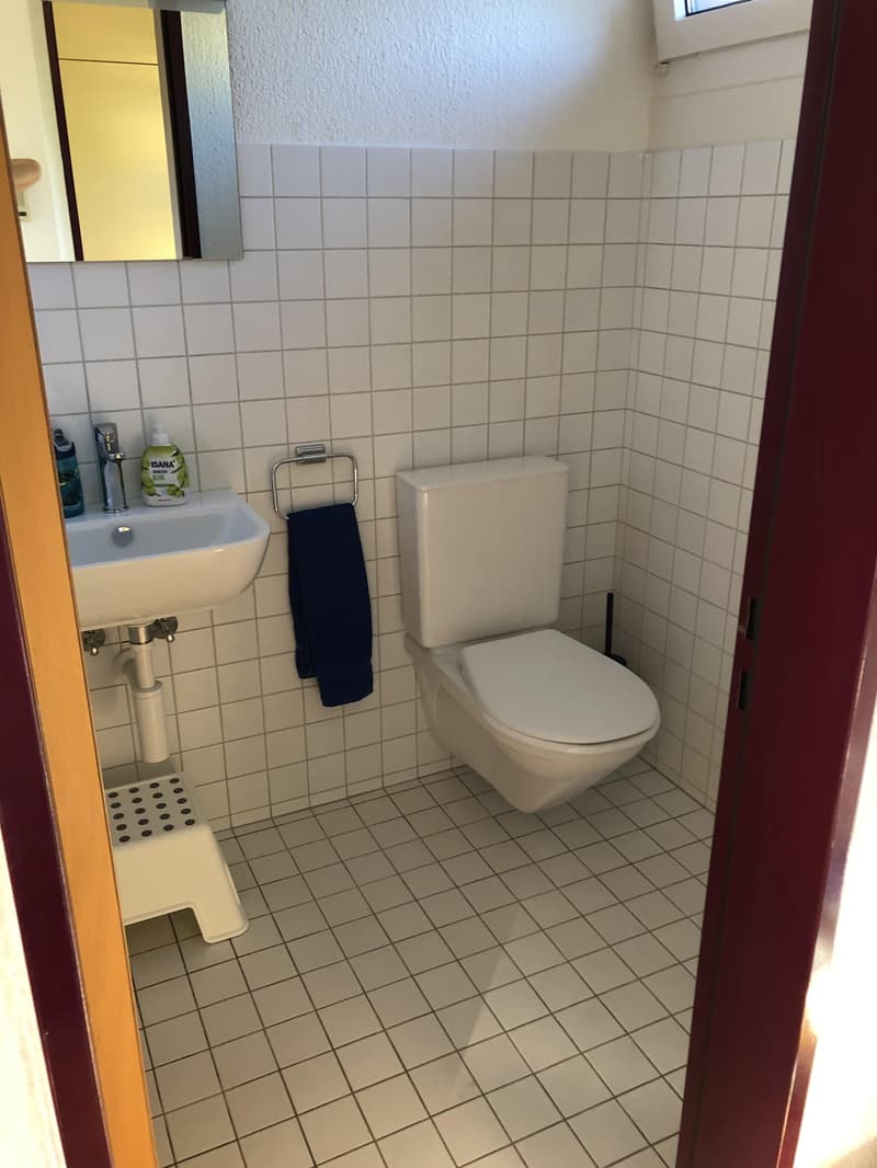 4.5 room apartment in Aarau (5)