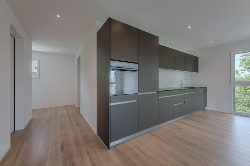 3.5 Zimmerwohnung in Zürich (3)
