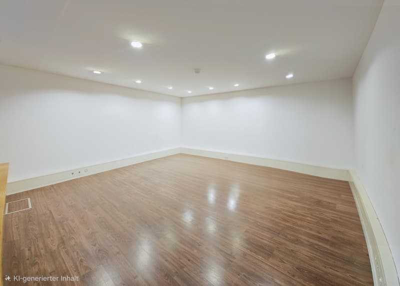 Commercial property in Schaffhausen (2)
