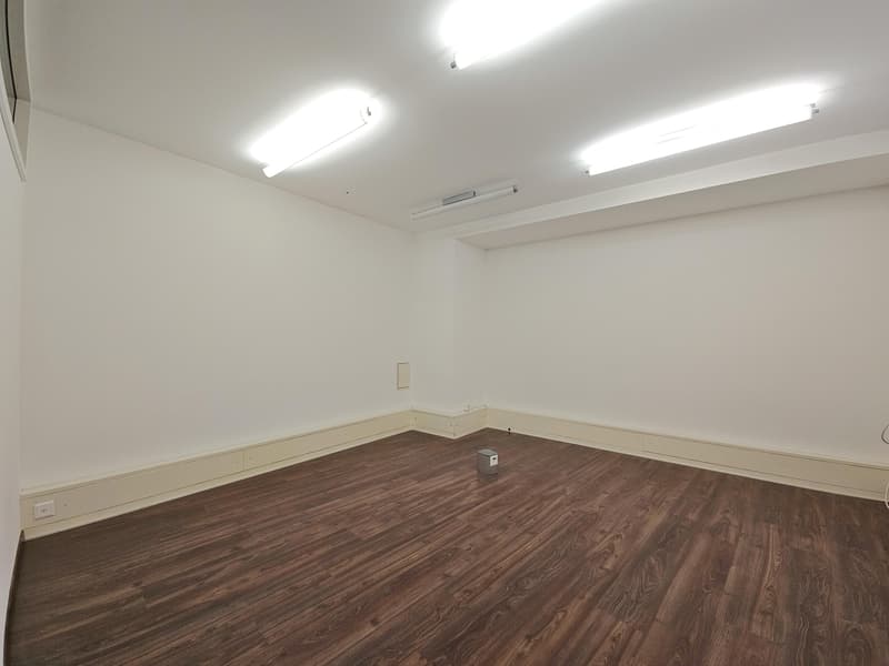 Commercial property in Schaffhausen (4)