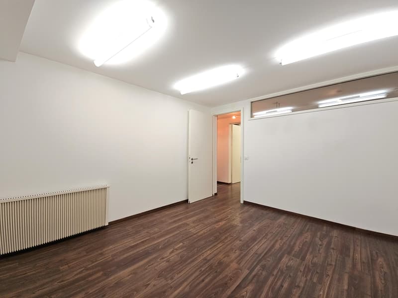 Commercial property in Schaffhausen (5)