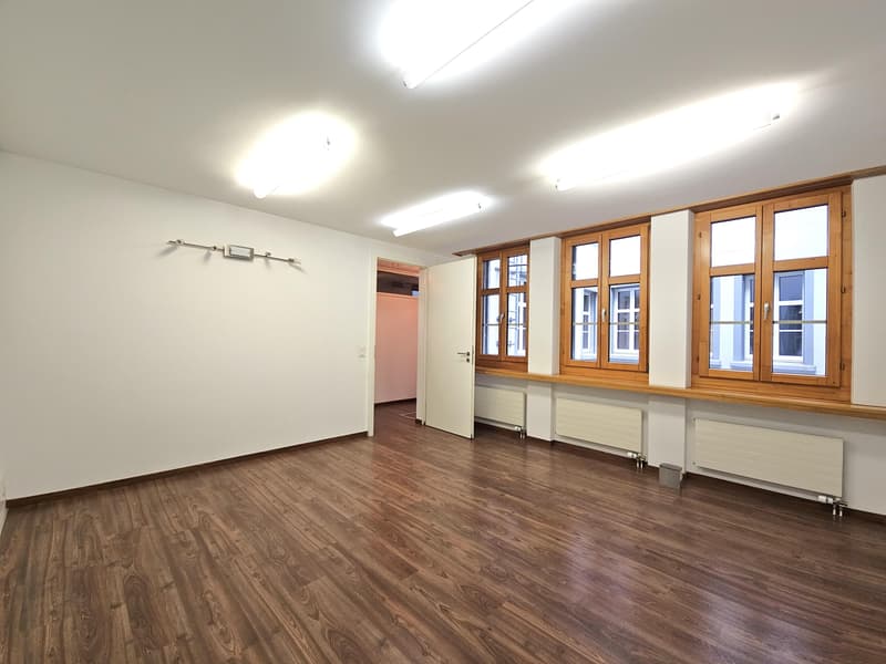 Commercial property in Schaffhausen (7)