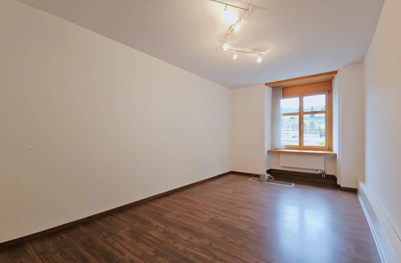Commercial property in Schaffhausen (5)