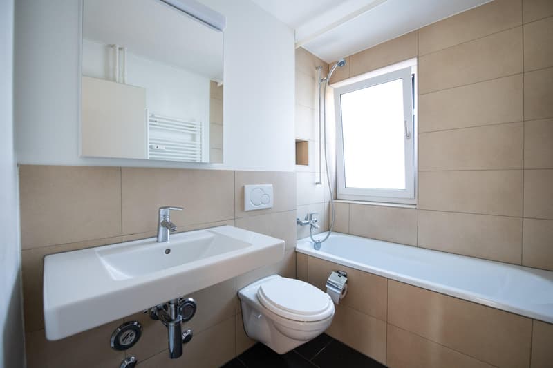 2.5 room apartment in Schaffhausen (6)