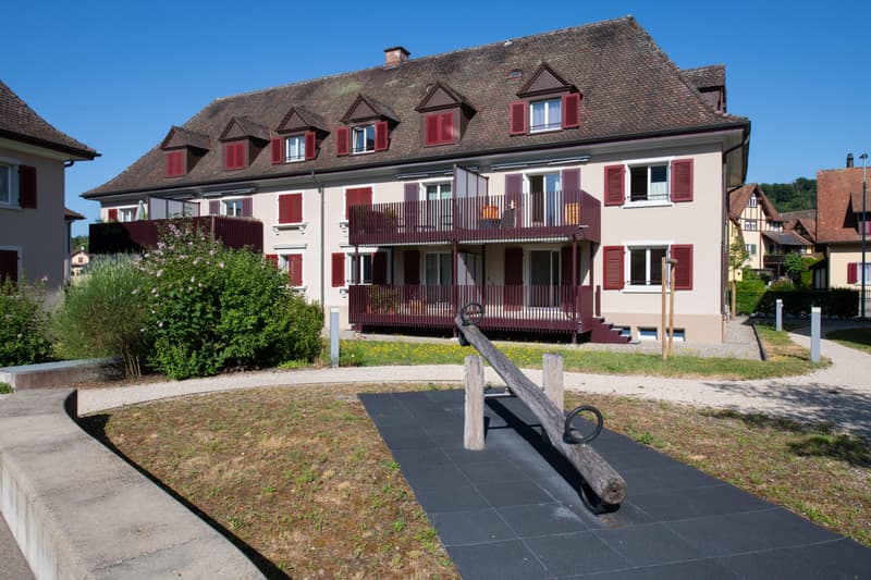 2.5 room apartment in Schaffhausen (8)