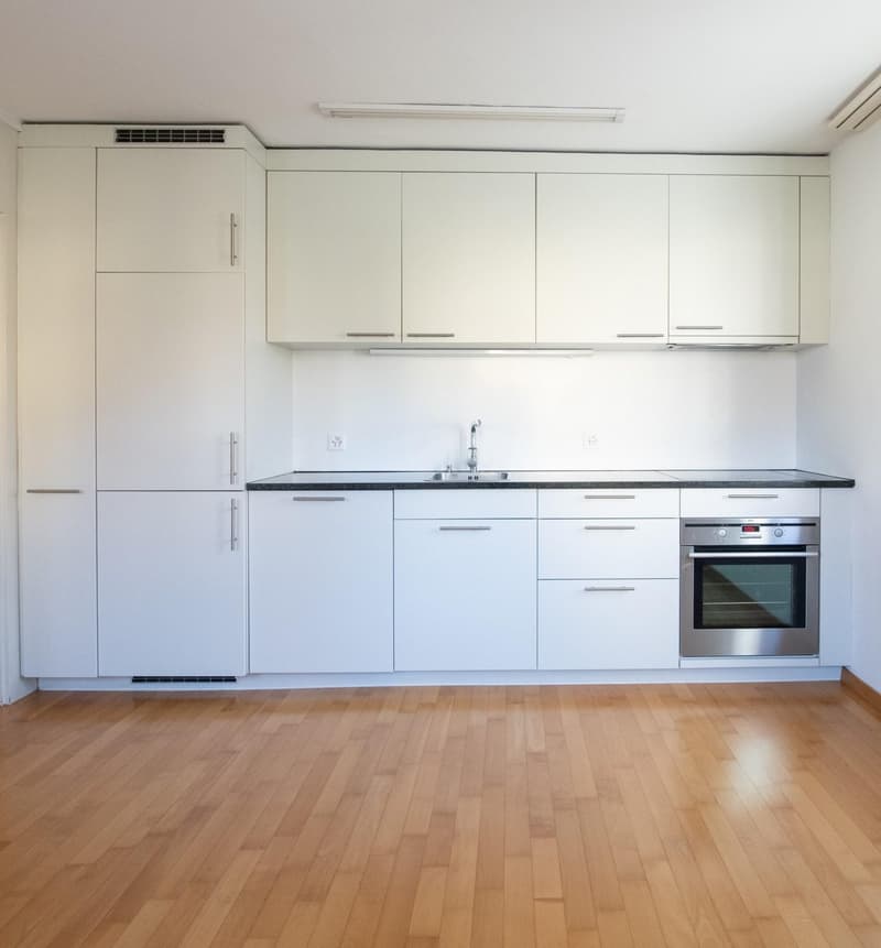 2.5 room apartment in Schaffhausen (2)