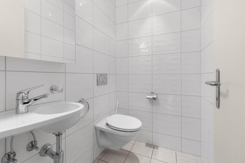 Beautiful 4.0 room apartment in Erlenbach (9)