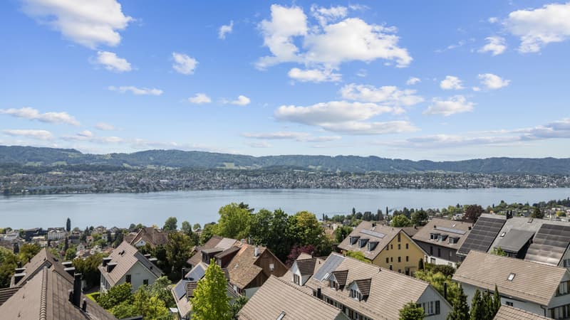 Beautiful 4.0 room apartment in Erlenbach (12)