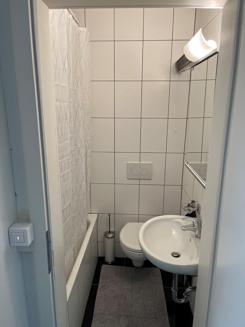 Appartement superbe à proximité de l'Université de St. Gallen (3)