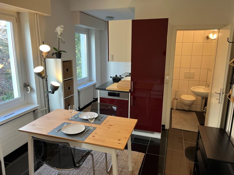 Appartement superbe à proximité de l'Université de St. Gallen (4)