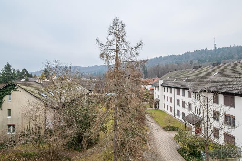 Bahnhofstrasse 85 - 4.5 room apartment in Feuerthalen (9)