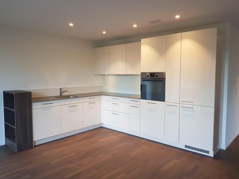 Ampio appartamento di 3,5 locali nel bel quartiere di Breitiquartier! (2)
