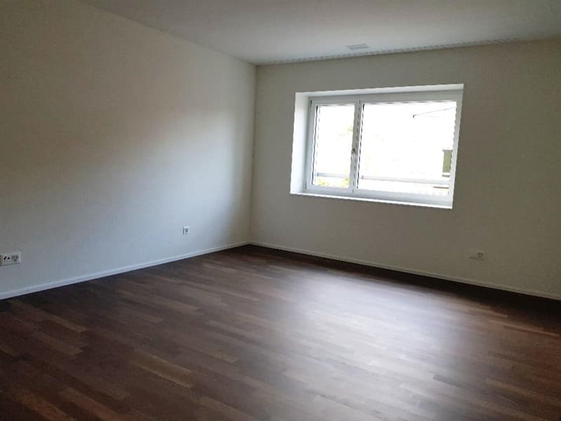 Ampio appartamento di 3,5 locali nel bel quartiere di Breitiquartier! (6)