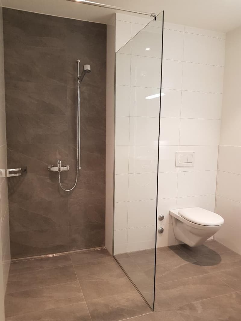 Ampio appartamento di 3,5 locali nel bel quartiere di Breitiquartier! (4)
