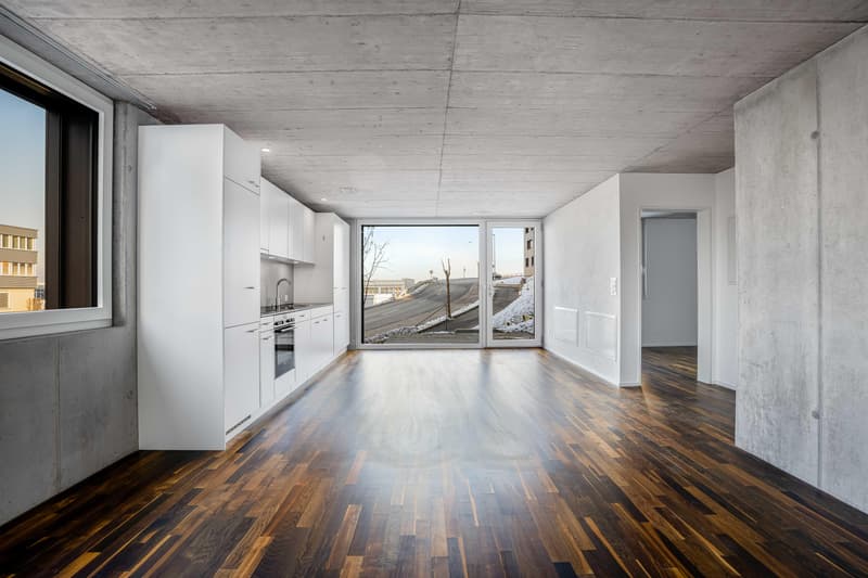 Appartement lumineux 2.5 pièces avec cuisine moderne et espace de séjour privé (4)