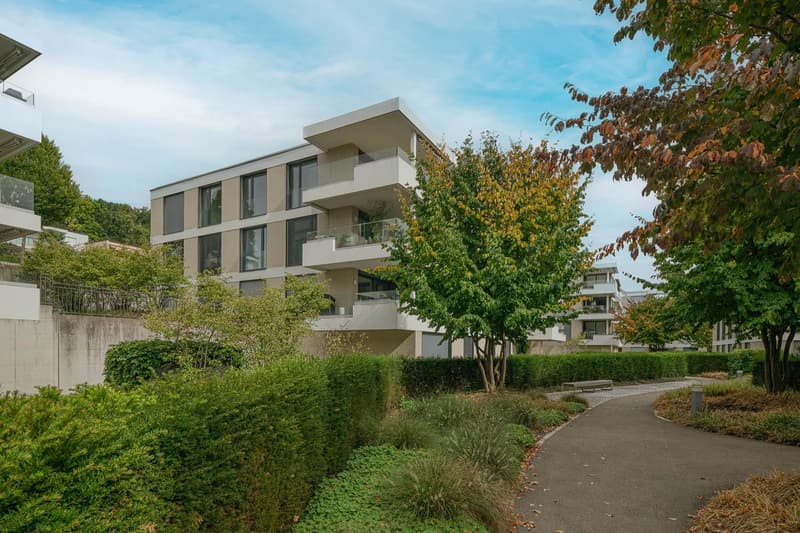 Schöne und helle 4.5 Zimmerwohnung in Kloten zu vermieten (1)