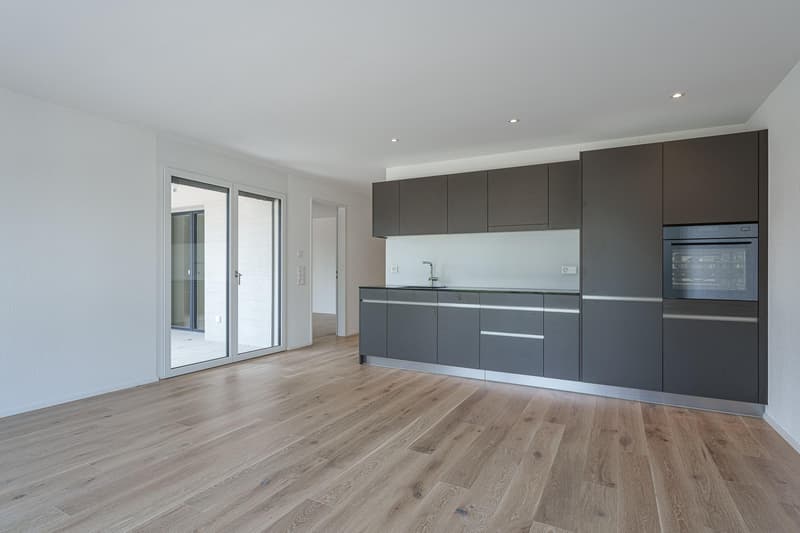 Appartamento 2.5 locali a Zurigo (4)