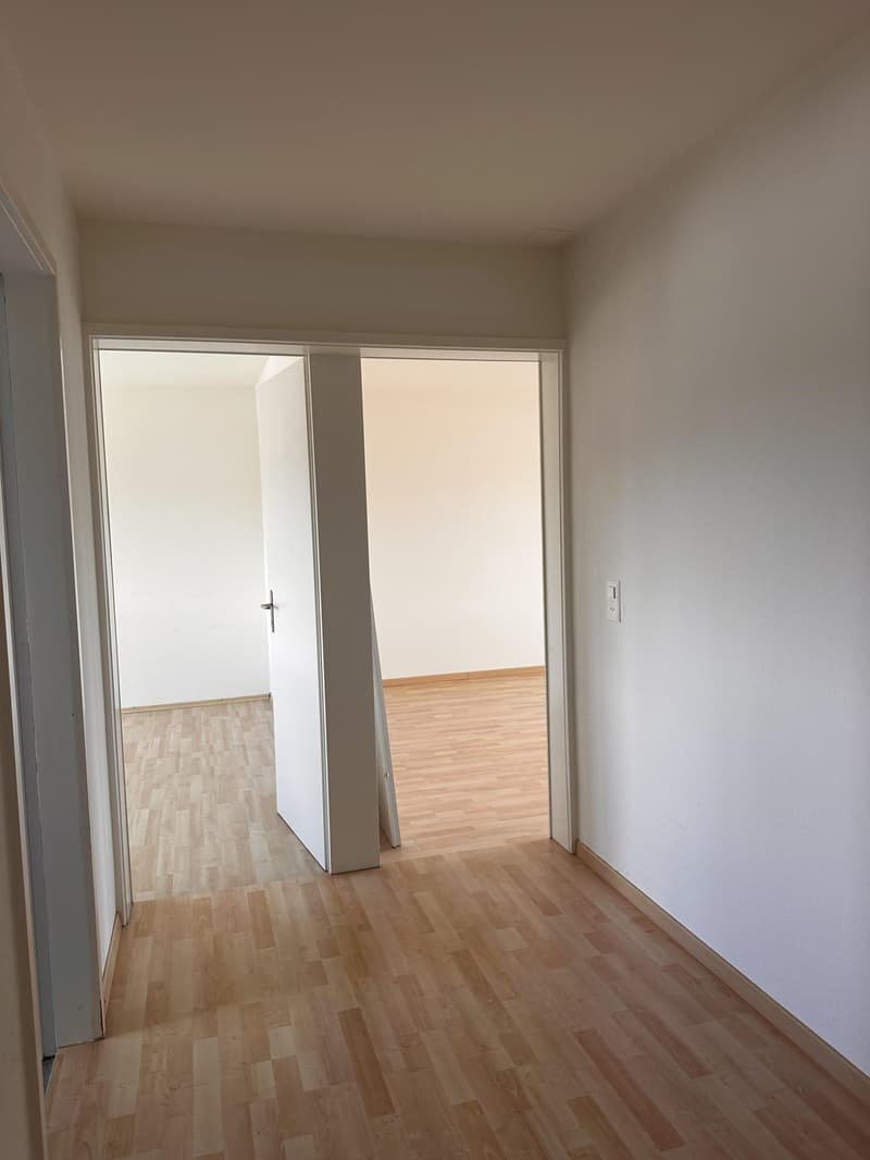 2.0 vani appartamento a Wallisellen (5)