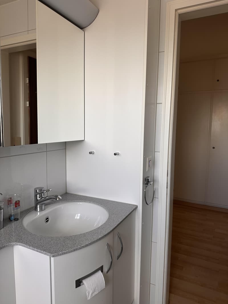 2.0 vani appartamento a Wallisellen (11)