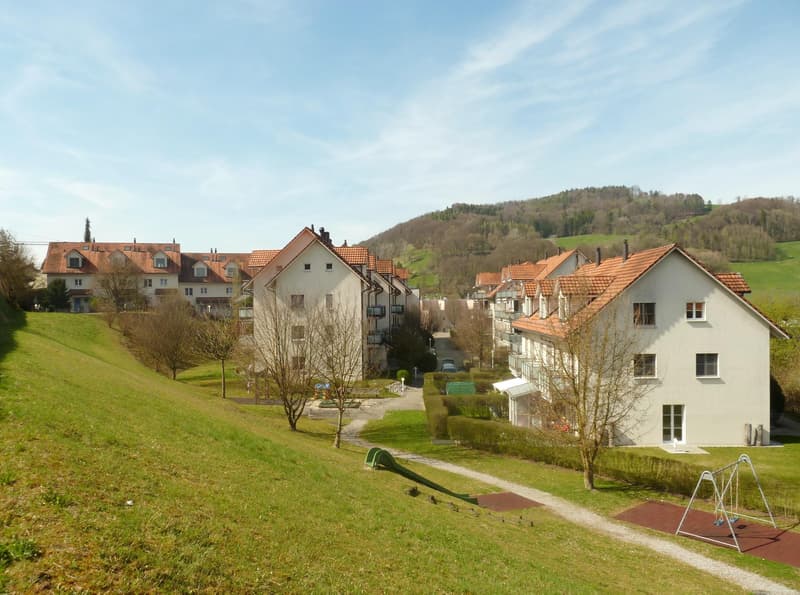 Familienfreundliche 3.5-Zimmer-Wohnung in Pfungen! (1)