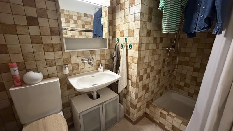 Charming 6.5 room apartment in Brüttisellen / Limited until 30.11.2027 (7)