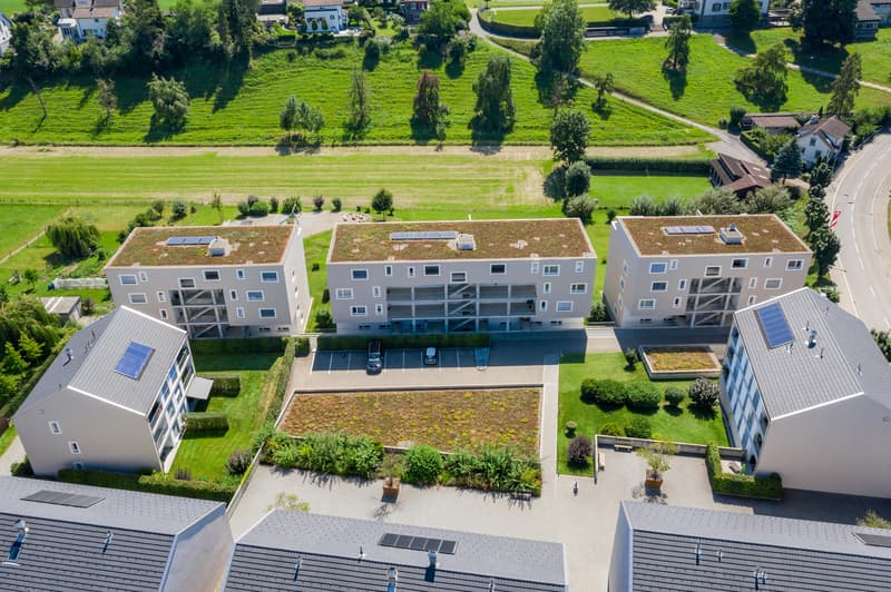 Modernes Wohnen im schönen Neukirch (1)