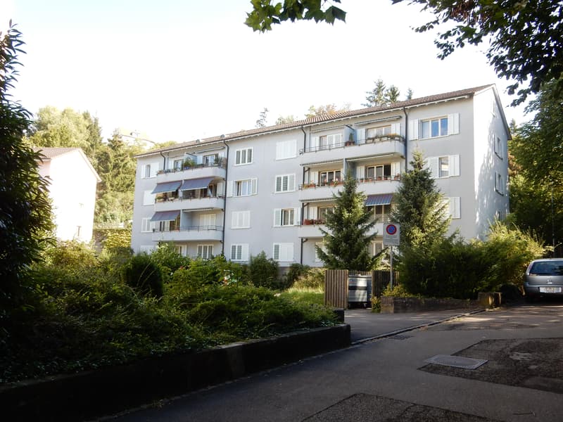 Appartamento di 3,5 locali a Schaffhausen (1)